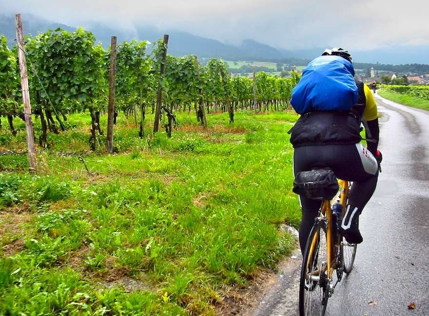 A cyclist riding among vineyards