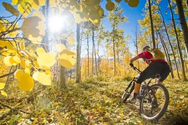 Man riding mountain bike in the sun after learning why do mountain bike helmets have visors